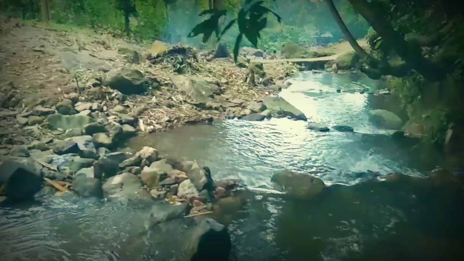 Belerang Simpur